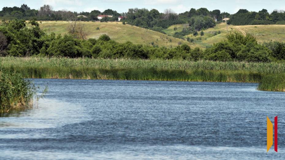 В селе Введенка Воронежской области утонул 54-летний мужчина