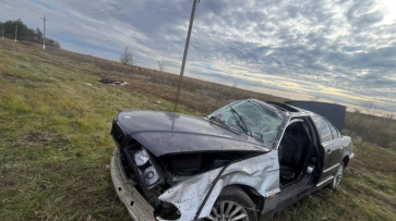 В Воронеже водитель BMW опрокинулся в кювет и погиб