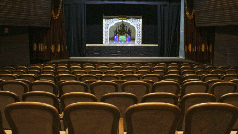 Зрительный зал Театра кукол имени Вольховского в Воронеже модернизируют за 9 млн рублей