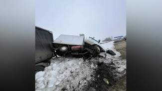 В Воронежской области в тройном ДТП погибло три человека