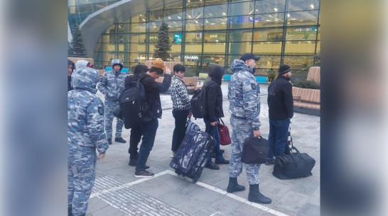 За 9 месяцев 2025 года из Воронежской области выдворили 440 нелегальных мигрантов