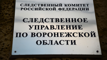 Главу УК арестовали после падения дерева на 19-летнюю девушку в центре Воронежа