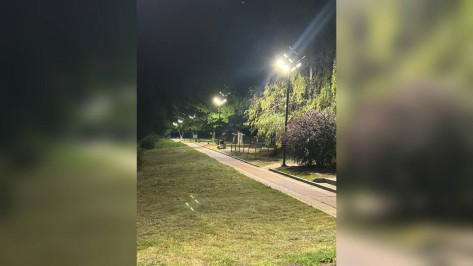 В парке лискинского села Залужное установили новые фонари