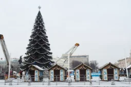 В Воронеже начали искать подрядчика на установку главной городской новогодней ели
