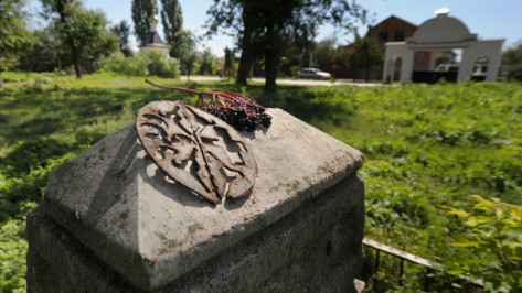 Волонтеры расчистят Терновое кладбище в Воронеже