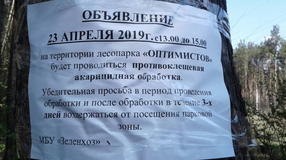 Воронежцев попросили 3 дня не посещать парк Оптимистов