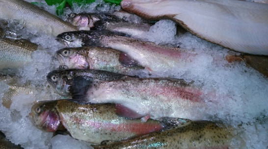 Роспотребнадзор отозвал сертификат у воронежского завода за излишнюю глазурь на рыбе