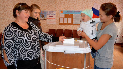 В Нижнедевицком районе явка на выборах составила 89,15% 
