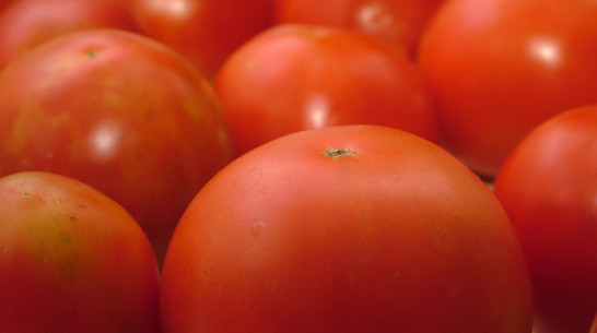 Воронежская область заняла 2 место по числу сертифицированных производителей органики