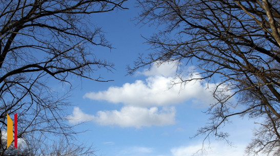 До 5 градусов мороза ожидается в Воронеже на рабочей неделе