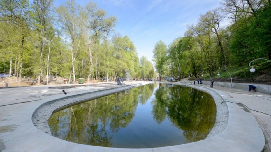 На пруду Воронежского центрального парка установят металлическое ограждение