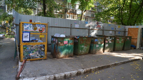 В Воронежской области измерят производимое жителями количество отходов за год