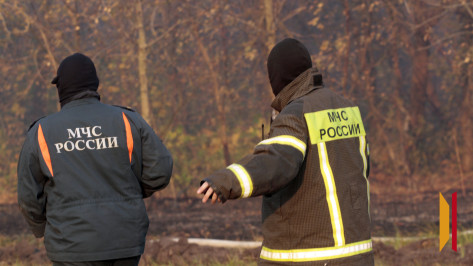 В Воронежской области при тушении пожара нашли труп 45-летнего мужчины