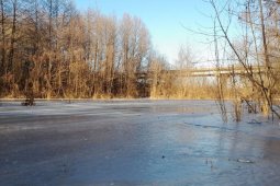 Под Воронежем на реке Ведуга под лед провалился 7-летний мальчик