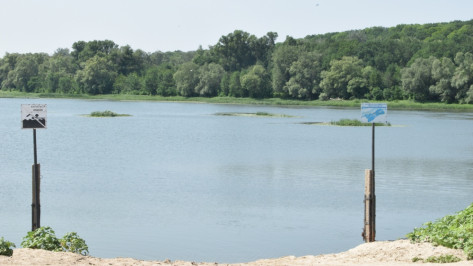 Под Воронежем на диком пляже утонул 25-летний парень