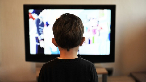 В Аннинском районе многодетная мать украла телевизор для детей