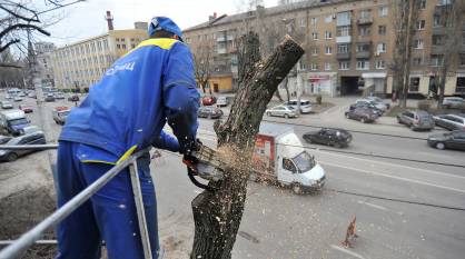Улицы в двух районах Воронежа перекроют, чтобы опилить деревья