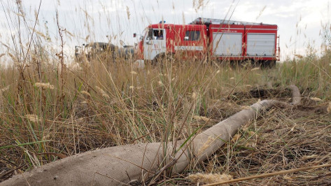 Предупреждение о чрезвычайной пожароопасности продлили в Воронежской области до 3 сентября