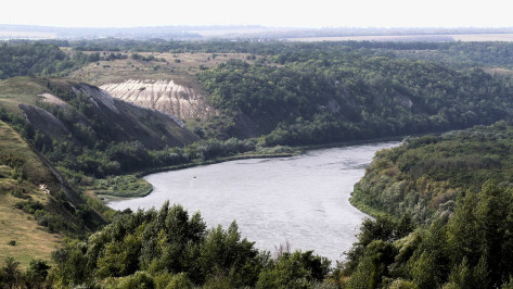 Росприроднадзор проверит состояние реки Дон в Воронежской области