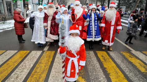В Воронежской области в новогодних мероприятиях поучаствовали свыше 500 тыс человек