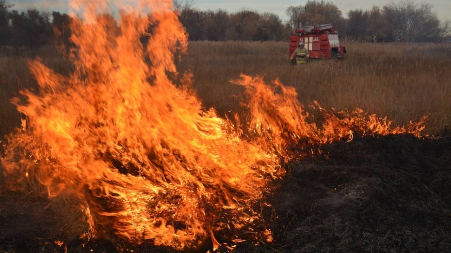 Ландшафтный пожар в богучарском селе случился из-за «УАЗа»