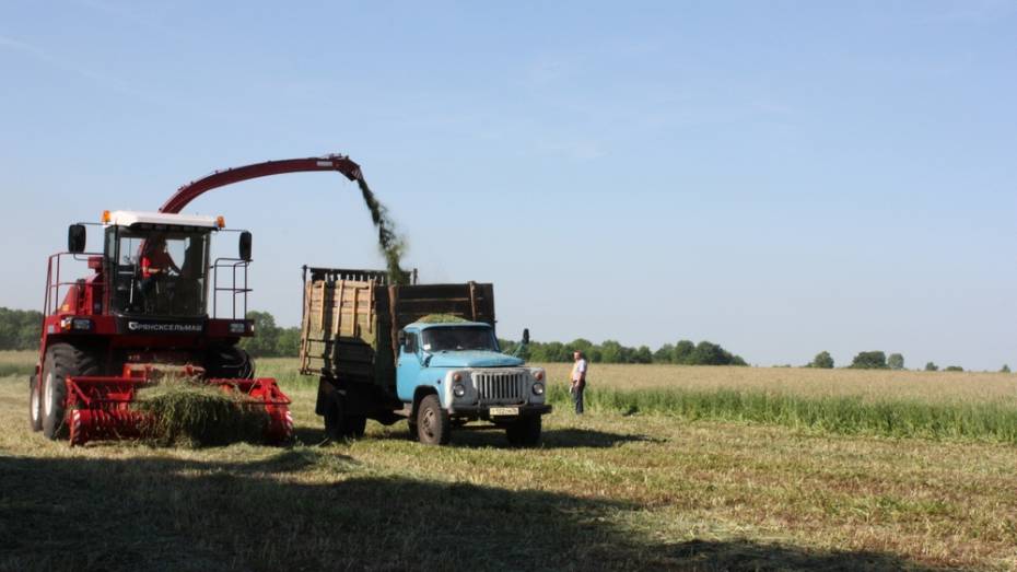 В Хохольском районе заготовили 2650 тонн сена