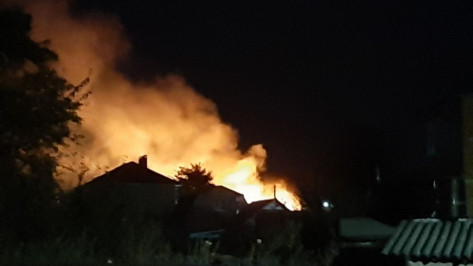 Под Воронежем спасатели ликвидировали разгоревшийся у жилых домов ландшафтный пожар