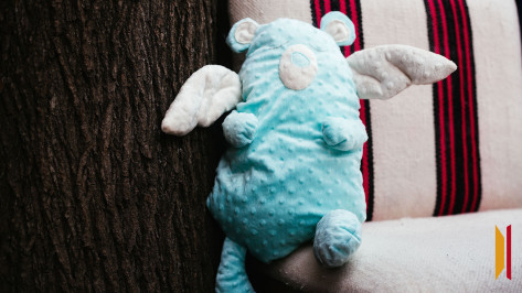 Неблагополучную семью из Борового разместили в кризисном центре Воронежа