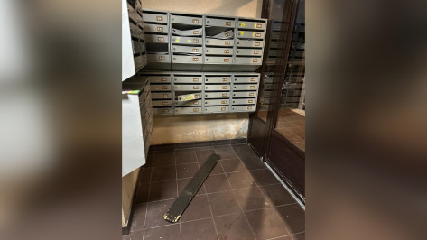 Неизвестный разгромил почтовые ящики в подъезде воронежской многоэтажки: видео
