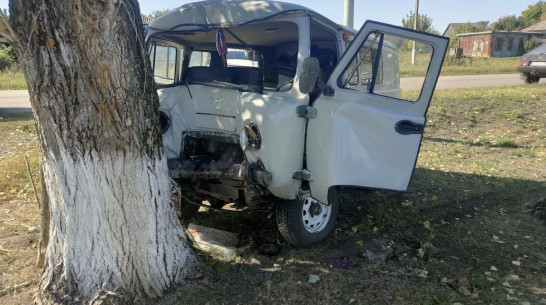 В Воронежской области водитель УАЗа врезался в дерево и погиб