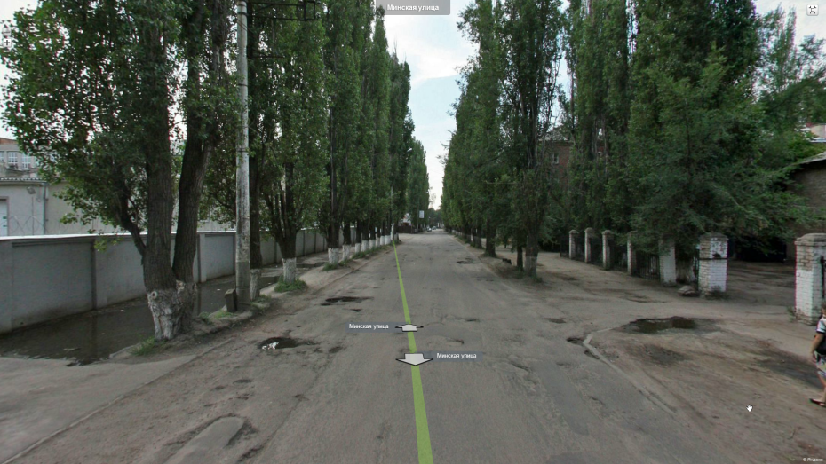 В Воронеже ради вырубки деревьев с понедельника перекроют улицу Минскую