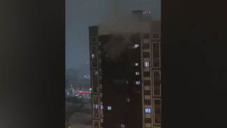 В Советском районе Воронежа загорелась квартира на 14 этаже: видео