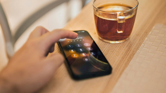 В Воронеже девушка потеряла из-за виртуального знакомства 410 тыс рублей