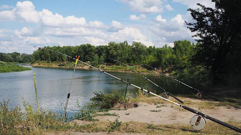 В Подгоренском районе соревнования по летней рыбалке пройдут 20 июля