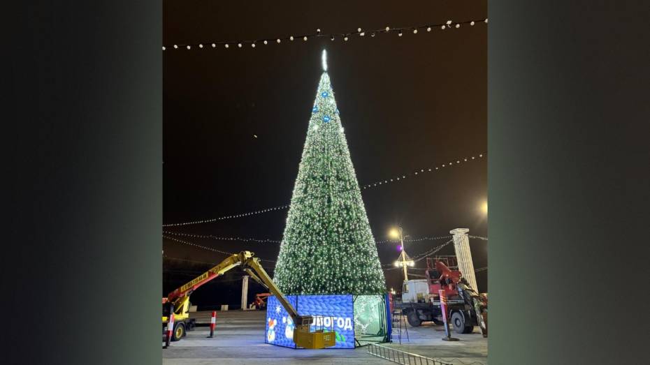 В Воронеже на Адмиралтейской площади установили новогоднюю елку