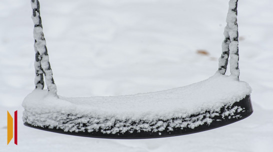За ночь снежный покров в Воронеже достиг 2 см