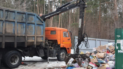 Областное ГО ЧС подключится к уборке мусора в Воронеже