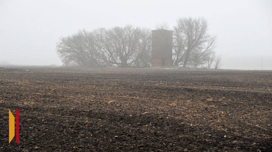 Воронежцев предупредили о тумане ночью и утром 6 ноября