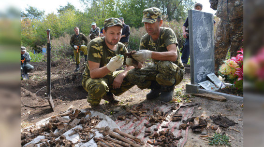 В Кантемировском районе поисковики нашли братскую могилу