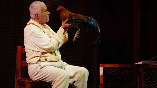 В Воронеже покажут колумбийский спектакль на испанском языке