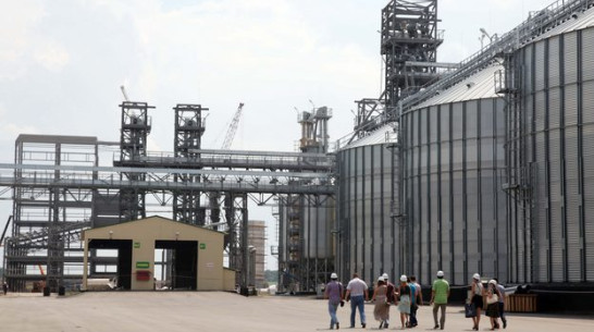 Свое, родное, доморощенное