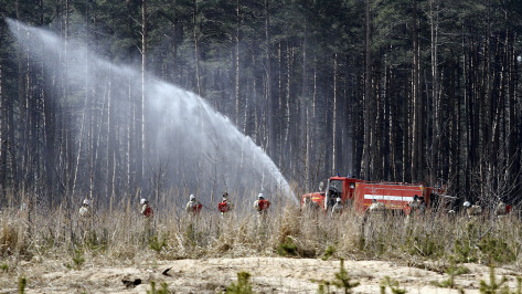 В Воронежской области выросло число районов с высоким уровнем пожароопасности