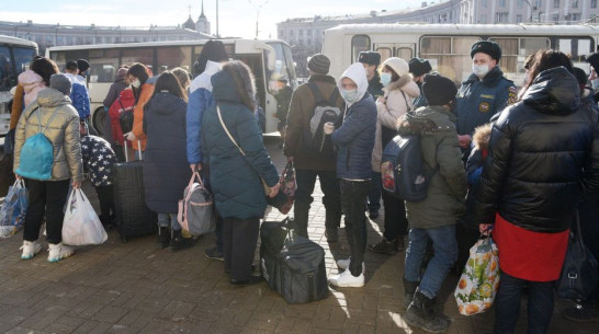 На помощь вынужденным переселенцам из фонда социальной поддержки Воронежской области потратили 35,7 млн рублей