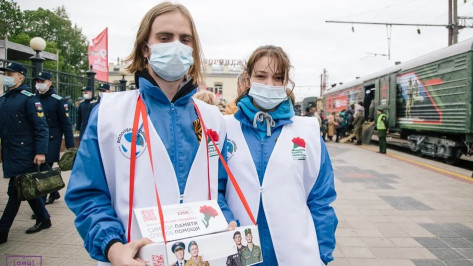 Благотворительная акция «Красная гвоздика» стартовала в Воронежской области