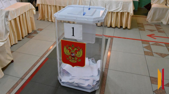 В Воронежской области сократится число округов на выборах в Госдуму