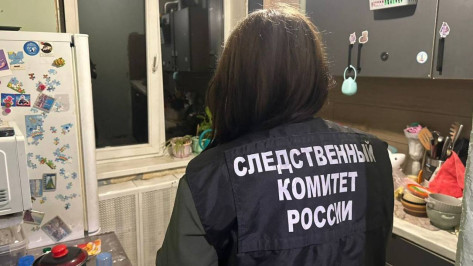 В Воронеже 23-летняя девушка избила годовалого сына из-за плача