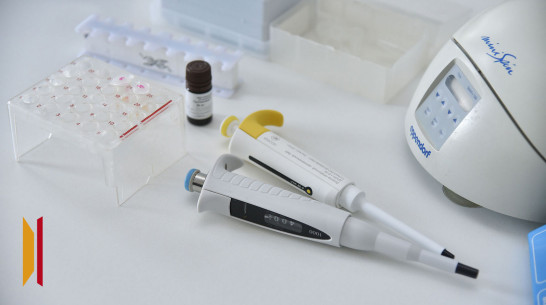 Жительницы Воронежской области могут сдать анализ на вирус папилломы человека по ОМС