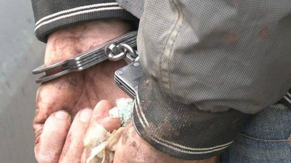 Житель Воронежской области пойдет под суд за убийство 91-летнего старика и его сына 