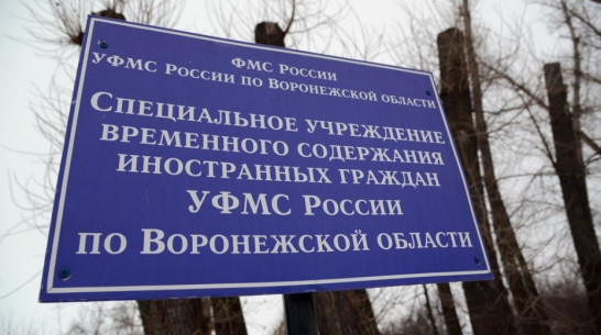 Жителя Панинского района оштрафовали на 50 тыс рублей за фиктивную прописку гастарбайтеров