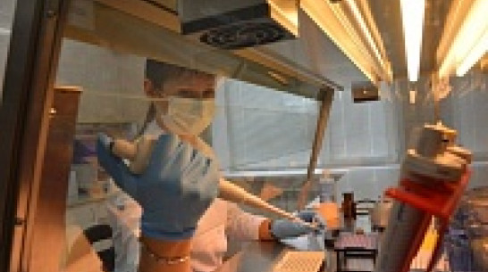 В Воронеже полицейские возьмут образцы ДНК у возможных преступников